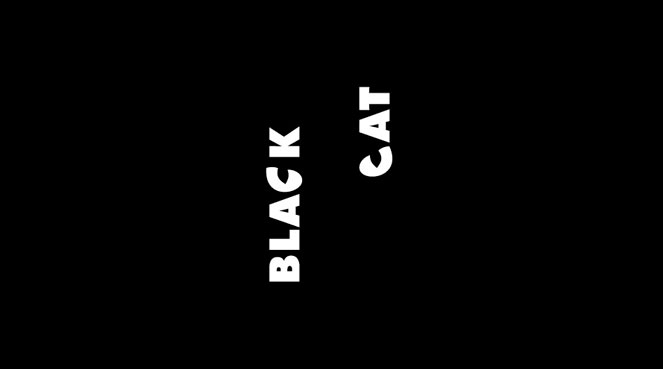 Black Cat