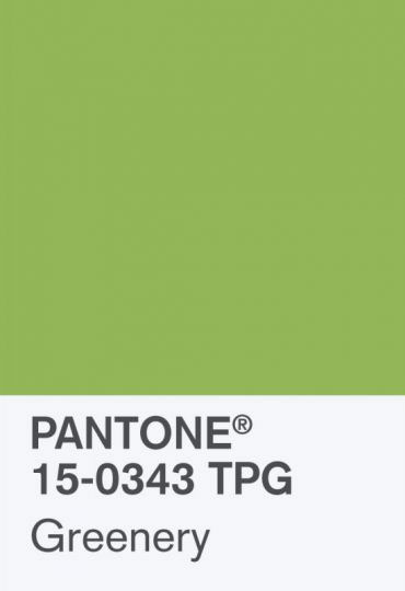 La couleur Pantone de l'année